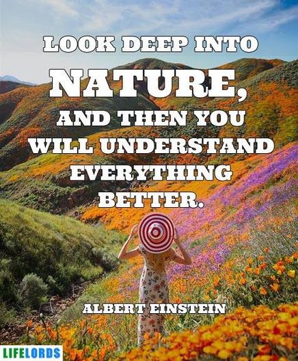 NATURE-QUOTE