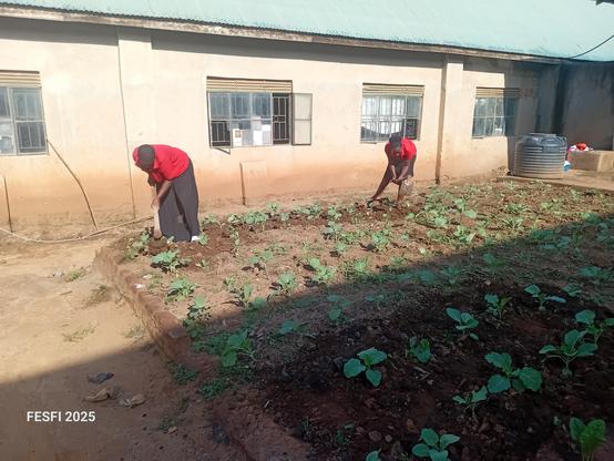 Young farmers weeding a vegetable garden 

