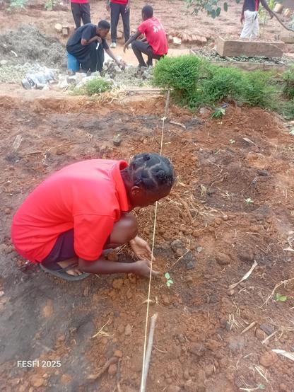 A young girl transplanting  one of the tomato seedlings to the main garden