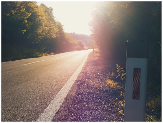 Sunlit asphalt road curving gently to the left through lush green trees, with a white and grey roadside marker post featuring a red reflector in the right foreground; bright, hazy sunlight floods the scene from the background, creating a strong glare and lens flare.