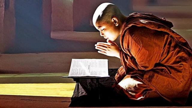 Young monastic reading a book.
