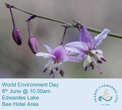 Text
World Environment Day 
8th June @ 10.00am 
Edwardes Lake PRU 2
Bee Hotel Area 

Friends of Edwardes Lake 
