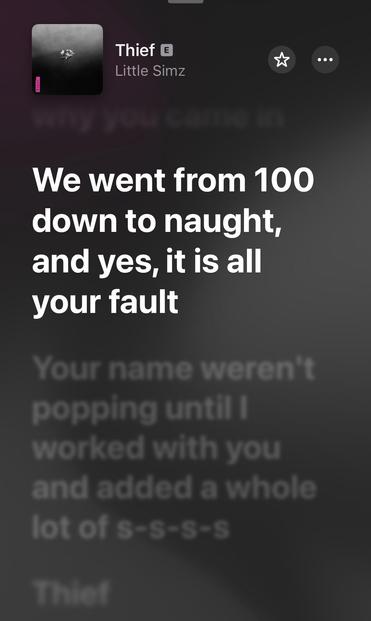 An image featuring the song "Thief" by Little Simz. The background is dark with a blurred flower image. Text includes lyrics reflecting themes of blame and disappointment, highlighting a decline in a relationship.