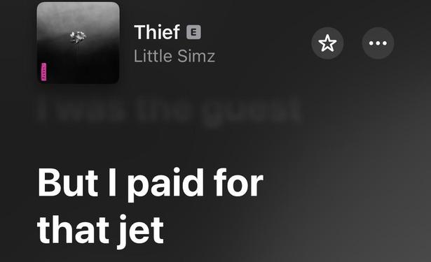 The image displays the album cover for "Thief" by Little Simz, featuring a black and white illustration of a flower. Below the cover, there is a lyric excerpt stating, "But I paid for that jet."