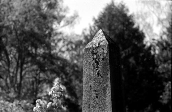An obelisk-like tip of a grave monument, decorated by moss and lichen