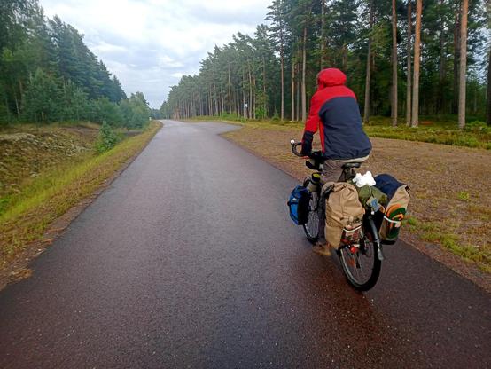 Route suédoise entourée de sapin avec, au premier plan, un voyageur à vélo