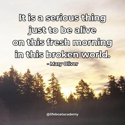 A social post from @lifeboatacademy which says: "It is a serious thing just to be alive on this fresh morning in this broken world." — Mary Oliver