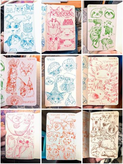 Compilation of 9 sketchbook pages of different aniaml drawings in different colors. Top row: cats and wild animals. Midsle row: wild cats, cats in hats, and axolotls. Bottom row: seals, highland cows, and opossums.