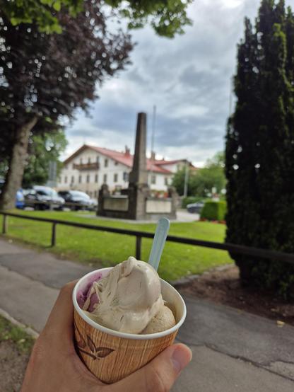 A close-up photo of a hand holding a cup of ice cream is shown. The image is taken outdoors, with a clear view of the sky and trees in the background.  There are also trees in the background, with one on the left side taking up most of the frame and another on the right side.