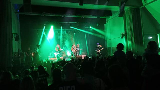 Bild von einer grün beleuchteten Bühne mit der Band Heavy Saurus