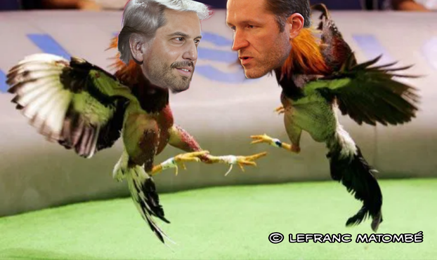 Deux coqs de combat aux têtes d'hommes. Le coq de gauche a le visage de Georges-Louis Bouchez, tandis que le coq de droite a le visage de Paul Magnette. En bas à droite de l'image, il y a un filigrane avec le texte "© LEFRANC MATOMBÉ".