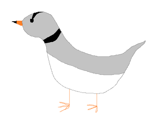 An mspaint drawing of a piping plover