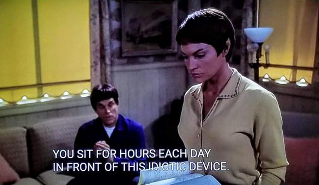 Star Trek Enterprise scene. We're in the living room of a 1950s style house with a couch, chair, various lamps, and wood paneling. The shades are drawn down but sun is visible through them. On the couch we see a Vulcan in civilian clothes, and standing up closer is T'Pol, also in civilian clothing. She's looking down and stern. Caption reads, "You sit for hours each day in front of this idiot device."