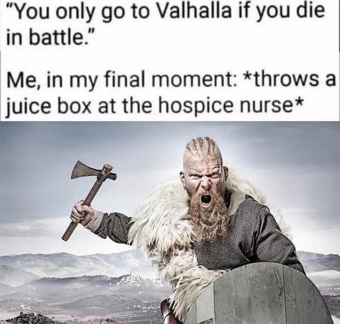"You only go to Valhalla if you die in battle."

Me, in my final moment: *throws a juice box at the hospice nurse*

[picture of warrior]