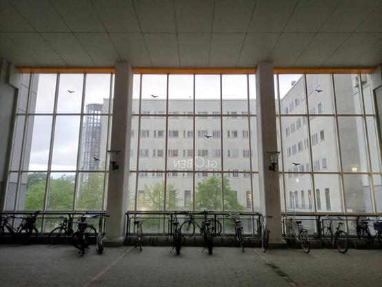 Large windows covering the better part of a wall. Bicycles parked in front of the and almost looks as if they are looking out the windows. Large white six-storey buildings visible through the windows 