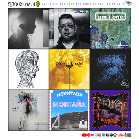 Semaine 23/2025

#rock #pop #folk #electro #jazz #prog #indus #experimental #indiemusic 
#bretagne #breizh #paysdelaloire 
#finistere #cotesdarmor #morbihan #illeetvilaine #loireatlantique #vendee #mayenne #sarthe 
#brest #quimper #lorient #vannes #saintbrieuc #rennes #roazhon #nantes #naoned #saintnazaire #chateaubriant #larochesuryon #cholet #angers #laval #lemans