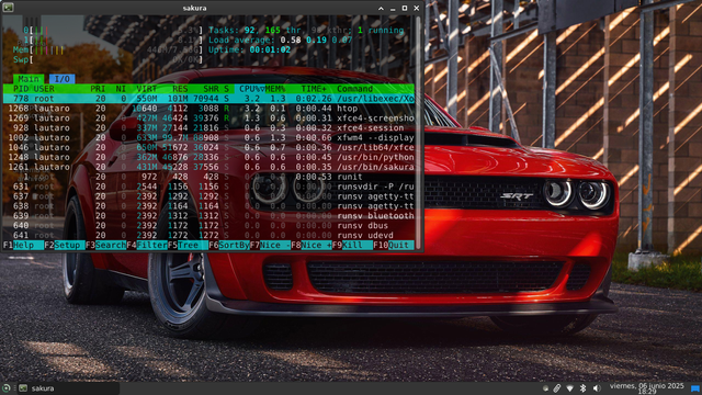 htop, muestra recursos del sistema