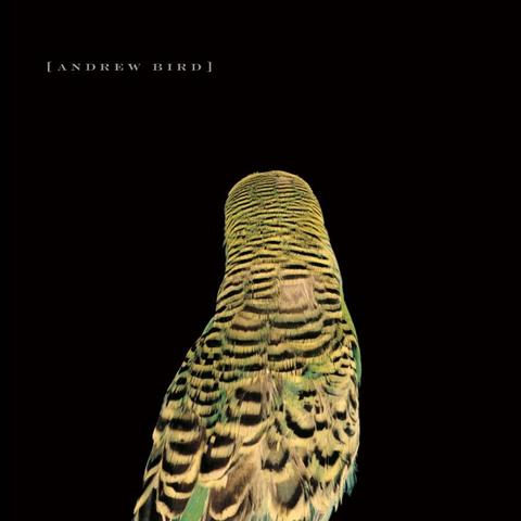 An image of the cover of the album 'Armchair Apocrypha' by Andrew Bird