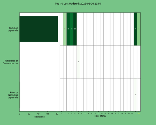 Diagramm der Fledermäuse vom 06.06.2025
