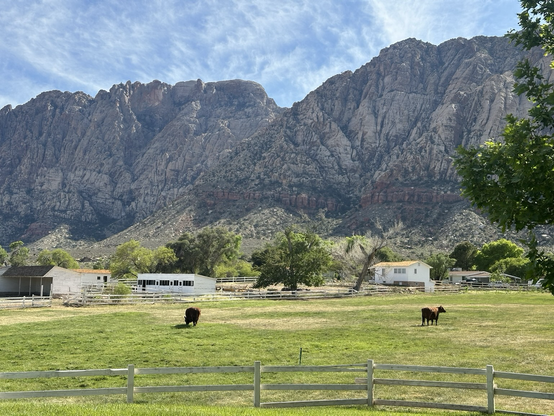 Spring Mountain National Park 