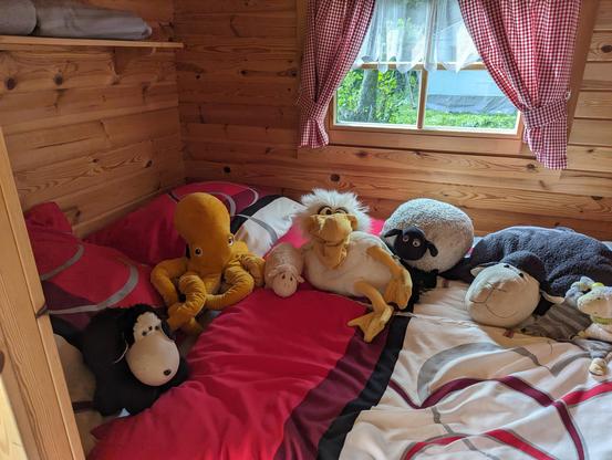 Fünf Plüschschafe, ein Tintenfisch und ein Pelikan auf einem Bett in einer kleinen Holzhütte.