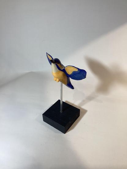 Von vorne, gelbe Brust, blaue Flügel und weiße Teile am Hals
