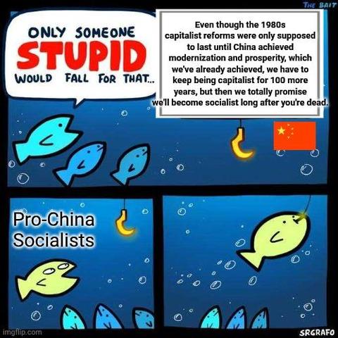 China: Even though the 1980s capitalist reforms were only supposed to last until China achieved modernization and prosperity, which we've already achieved, we have to keep being capitalist for 100 more years, but then we totally promise we'll become socialist long after you're dead.

Pro-China Socialists: [accepting the bait]