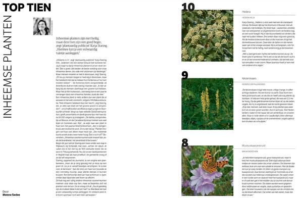 De tien favoriete inheemse planten van tuinkenner Katja Staring
TOP TIEN
Inheemse planten zijn niet heilig, maar deze tien zijn een goed begin, zegt ‘plantaardig publicist’ Katja Staring. „Hiermee kan je een volwaardig tuintje aanleggen.”
„Inheems is in”, zegt ‘plantaardig publicist’ Katja Staring (54). „Iedereen die een beetje bewust met tuinieren bezig is roept nu dat je inheemse planten in je tuin moet zetten. Dat is goed: die bieden de beste voeding voor onze inheemse dieren, die vaak met uitsterven zijn bedreigd.” Maar mensen moeten er niet in doorslaan, zegt Staring. „Of nou ja, mensen mogen er heel erg in doorslaan, maar het betekent niet dat ze meteen hun hortensia uit hun tuin moeten bikken” – de hortensia komt oorspronkelijk uit Amerika en Azië en trekt weinig insecten aan. „Ik ben allang blij als mensen überhaupt een groene tuin hebben. Maar heb je tíén hortensia’s, overweeg dan er een paar te vervangen door een inheemse heester, zoals de vlier.”
Een inheemse plant is niets anders dan een plant die al eeuwen in het wild voorkomt, volgens IVN Natuureducatie. ‘Niet-inheems’ betekent dus niet ‘slecht’, zegt Staring, die „er alles aan doet om het groene woord te verspreiden” – ze schrijft boeken als Maak je eigen jungle en Avontuurlijk tuinieren, blogt op haar website DailyGreenspiration, geeft presentaties en deelt groene tips met haar bijna 14.000 volgers op Instagram. […]