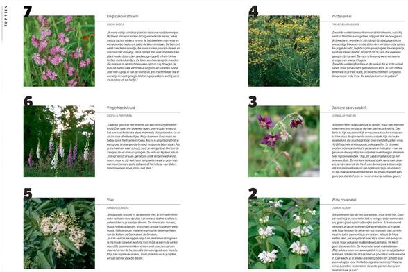 7 . Dagkoekoeksbloem
SILENE DIOICA
„Ik word vrolijk van deze plant en de leuke roze bloemetjes. Hij bloeit al in april en kan doorgaan tot in de winter, zeker met de zachte winters van nu. Je hebt wel een mannetje en een vrouwtje nodig om zaden te laten ontstaan. De bij moet eerst naar het mannetje, die is wat ranker, voor stuifmeel, en dan naar het vrouwtje, die is breder met veel bloemen. Elke plant maakt duizenden zaadjes, gestapeld in hele kleine korfjes met krulrandjes. Ze lijken een beetje op de manden die mensen in de middeleeuwen op hun rug droegen. Je kunt de zaden vaak eind mei al oogsten en uitdelen. Soms zit er een rupsje in van de silene-uil, een nachtvlinder die er een eitje in heeft gelegd. Als het rupsje uitkomt eet hij eerst de zaadjes uit dat korfje.”

6. Vingerhoedskruid
DIGITALIS PURPUREA
„Dadelijk groeit er een enorme aar aan mijn vingerhoedskruid. Dan gaan die bloemen open, open, open en wordt het een heel feeërieke plant. Hommels vliegen continu in en uit die roze of witte kelkjes. Als je daar een stoel naast zet heb je geen Netflix meer nodig. Als hij is uitgebloeid heb je een grote, bruine aar, die ik mooi vind om te laten staan. Als je die heen en weer schudt, hoor je een geritsel. Dat zijn de zaadjes, die er dan uit springen. Zo verhuist hij door je tuin.
„‘Giftig!’ wordt er vaak geroepen als ik vingerhoedskruid noem, maar er zijn wel meer tuinplanten waar je geen hap van moet nemen, zoals de taxus of het lelietje-van-dalen. Boterbloemen  […]”