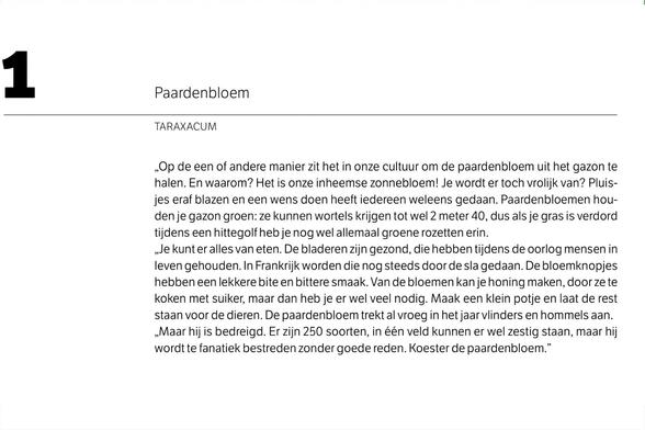 1. Paardenbloem
TARAXACUM
„Op de een of andere manier zit het in onze cultuur om de paardenbloem uit het gazon te halen. En waarom? Het is onze inheemse zonnebloem! Je wordt er toch vrolijk van? Pluisjes eraf blazen en een wens doen heeft iedereen weleens gedaan. Paardenbloemen houden je gazon groen: ze kunnen wortels krijgen tot wel 2 meter 40, dus als je gras is verdord tijdens een hittegolf heb je nog wel allemaal groene rozetten erin.
„Je kunt er alles van eten. De bladeren zijn gezond, die hebben tijdens de oorlog mensen in leven gehouden. In Frankrijk worden die nog steeds door de sla gedaan. De bloemknopjes hebben een lekkere bite en bittere smaak. Van de bloemen kan je honing maken, door ze te koken met suiker, maar dan heb je er wel veel nodig. Maak een klein potje en laat de rest staan voor de dieren. De paardenbloem trekt al vroeg in het jaar vlinders en hommels aan.
„Maar hij is bedreigd. Er zijn 250 soorten, in één veld kunnen er wel zestig staan, maar hij wordt te fanatiek bestreden zonder goede reden. Koester de paardenbloem.”