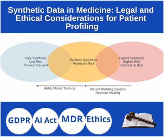 Synthetic data in medicine: Legal and ethical considerations for patient profiling. Computational and Structural Biotechnology Journal, DOI: https://doi.org/10.1016/j.csbj.2025.05.026