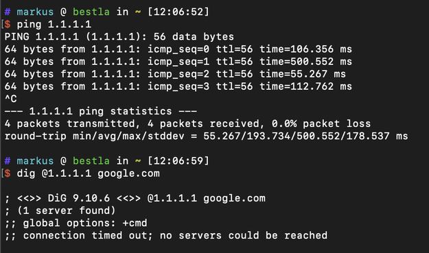 Screenshot: Ping ist erfolgreich, Dig bricht ab.