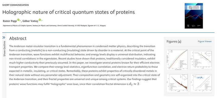Holographic nature of critical quantum states of proteins. Computational and Structural Biotechnology Journal, DOI: https://doi.org/10.1016/j.csbj.2025.05.049