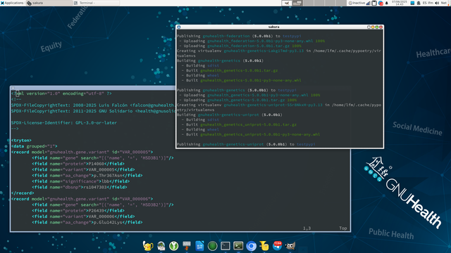 Screenshot while building and publishing the gnuhealth packages using poetry to testpypi.

The other terminal shows vim screen with a section of the gene natural variant .

The desktop has the XFCE menu and a background showing the GNU Health logo

Some content in one of the screens:
Publishing gnuhealth-federation (5.0.0b1) to testpypi
 - Uploading gnuhealth_federation-5.0.0b1-py3-none-any.whl 100%
 - Uploading gnuhealth_federation-5.0.0b1.tar.gz 100%
Creating virtualenv gnuhealth-genetics-Lakg1Tmd-py3.13 in /home/lfm/.cache/pypoetry/virtualenvs
Building gnuhealth-genetics (5.0.0b1)
  - Building sdist
  - Built gnuhealth_genetics-5.0.0b1.tar.gz
  - Building wheel
  - Built gnuhealth_genetics-5.0.0b1-py3-none-any.whl

Publishing gnuhealth-genetics (5.0.0b1) to testpypi
 - Uploading gnuhealth_genetics-5.0.0b1-py3-none-any.whl 100%
 - Uploading gnuhealth_genetics-5.0.0b1.tar.gz 100%
Creating virtualenv gnuhealth-genetics-uniprot-SSr8NkxH-py3.13 in /home/lfm/.cache/pypoetry/virtualenvs
Building gnuhealth-genetics-uniprot (5.0.0b1)
  - Building sdist
  - Built gnuhealth_genetics_uniprot-5.0.0b1.tar.gz
  - Building wheel
  - Built gnuhealth_genetics_uniprot-5.0.0b1-py3-none-any.whl

Publishing gnuhealth-genetics-uniprot (5.0.0b1) to testpypi
