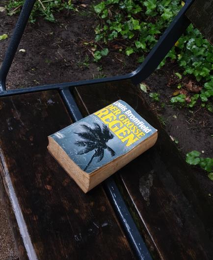 Liegen gelassenes Buch, im Park, im Regen, mit Titel "Der große Regen"