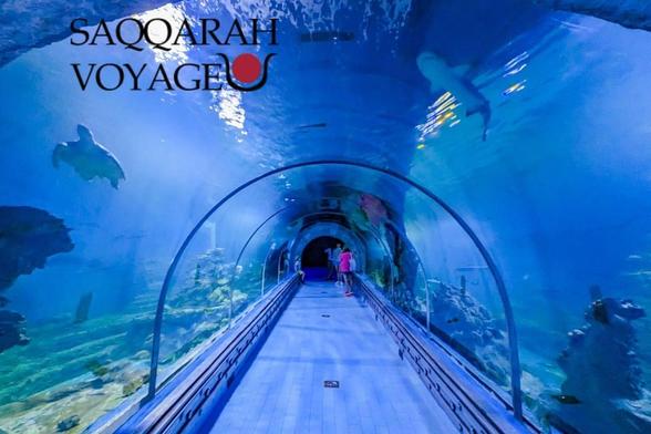 https://saqqarah-voyage.fr/activites-hurghada-2026-pas-cher/