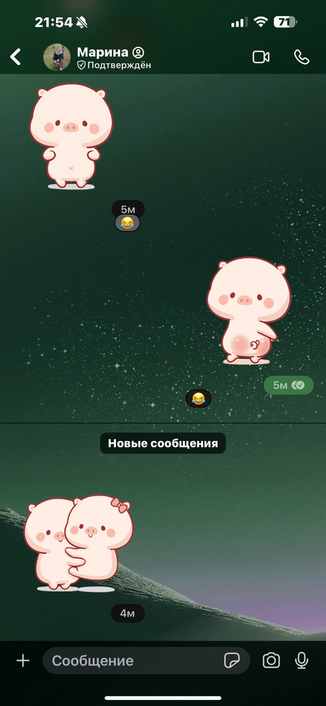 Чат в мессенджере signal 