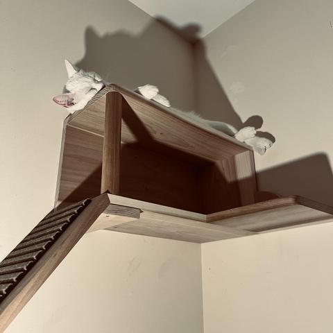 a white cat sleeps stretched out on her side high above on a cat shelf
