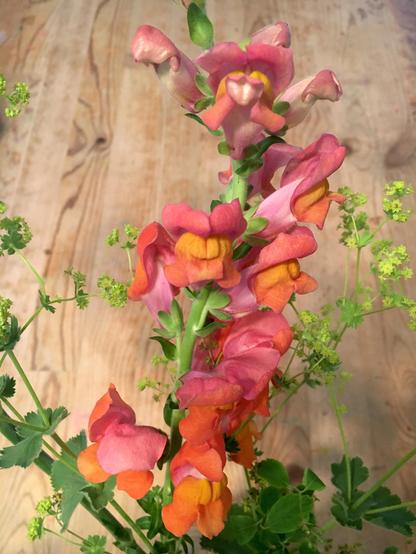 Colourful flowers sit elegantly on a wooden table.