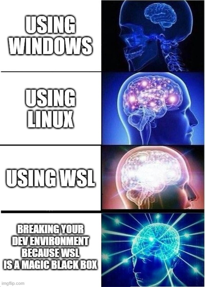 using windows = smol brain
using linux = brain
using WSL = galaxy brain
breaking your WSL because it's a magic black box = your too wizardly for your own good