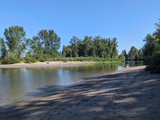 A beach along a creek tributary to the Columbia River, some deciduous trees and dune grass in the background.