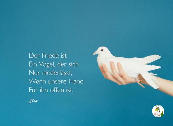 Eine weiße Taube sitzt in der offenen Handfläche eines Menschen. Dazu der Text: Der Friede ist ein Vogel, der sich nur niederlässt, wenn unsere Hand für ihn offen ist."