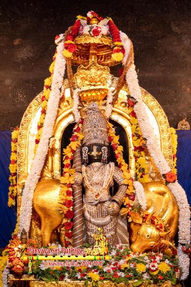 Idol of Hindu deity Krishna in diamond cladding, matching crown, holding a similarly-cladded staff in right hand, and a small gold umbrella above. Krishna stands on a gold perch with a gold cow behind him. White flower garland around the umbrella flowing all the way around either side of the cow. Short thick string red roses over the umbrella. Assorted loose flowers and holy basil leaves at Krishna's feet.