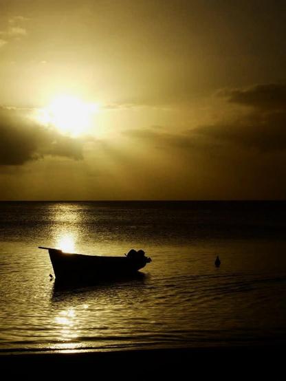 One bright golden sky