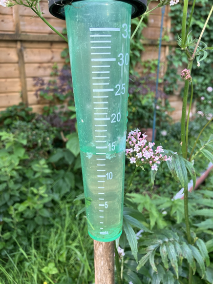 Een groene plastic regenmeter in mijn tuin. Er zit veertien millimeter water in.