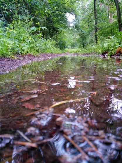 Ich auf Waldweg mit Pfütze vom Boden aus