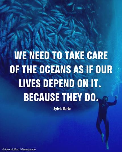 Picture: diver next to school of fish being overfished. Photographer credit: Alex Hofford / Greenpeace. Caption is a Sylvia Earle quote: "We need to take care of the oceans as if your lives depend on it. Because they do." 
