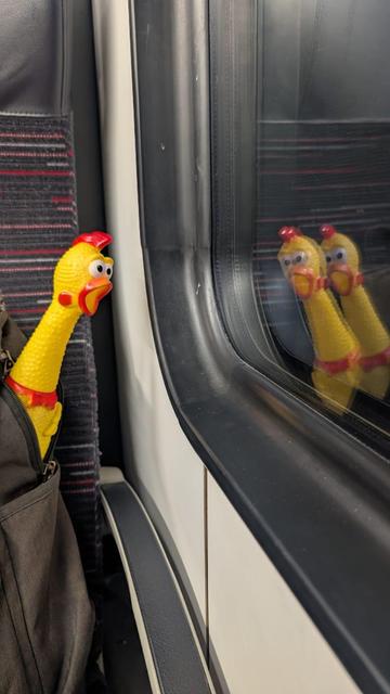 When Pollo sees their reflection and realizes… they are but rubber in a tough world!