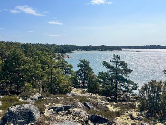 View of the coast. Rocks mixed with sparse trees. Mostly pine. Blue sky and sunshine. 