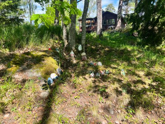 A garden full of little rocks that were painted with little motives or figures. Like moomin for instance. 